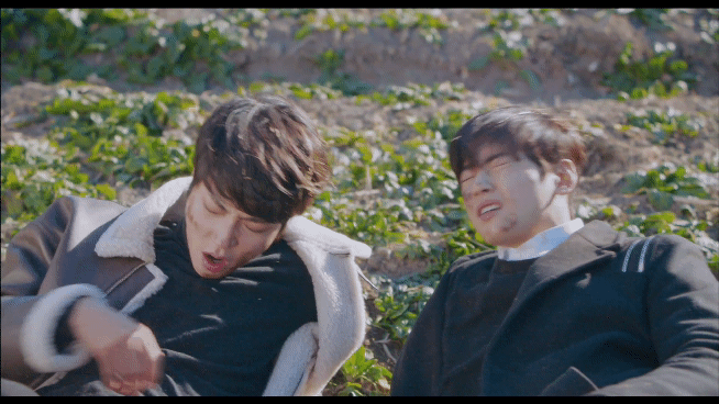 426efe6b3ff42bc94d76c27c2f525baa